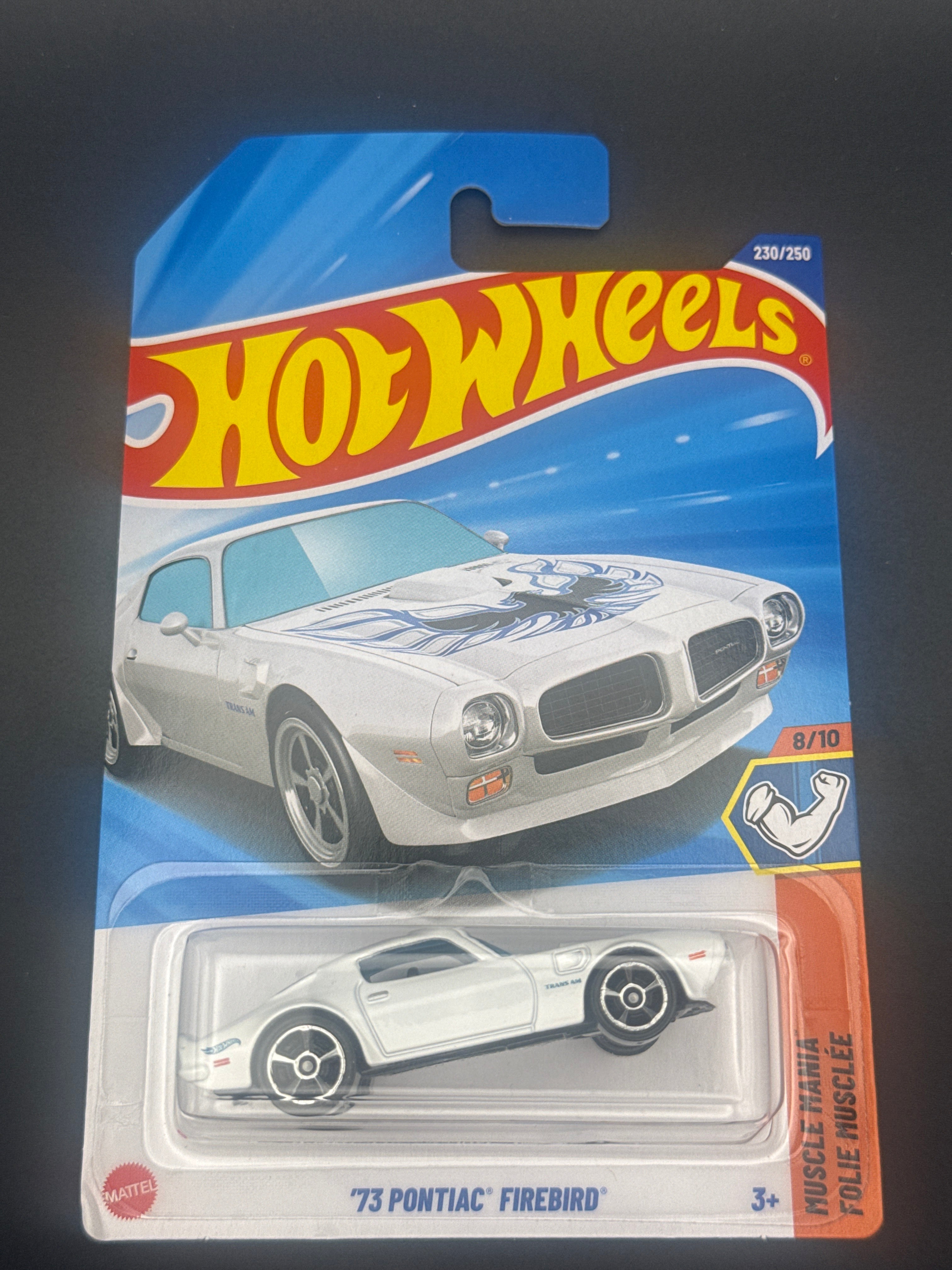 ‘73 Pontiac Firebird