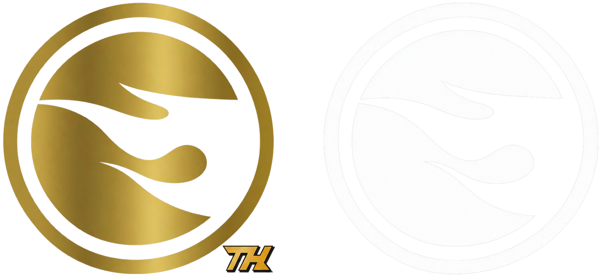 Hot Wheels Super Treasure Hunt and Treasure Hunt logos